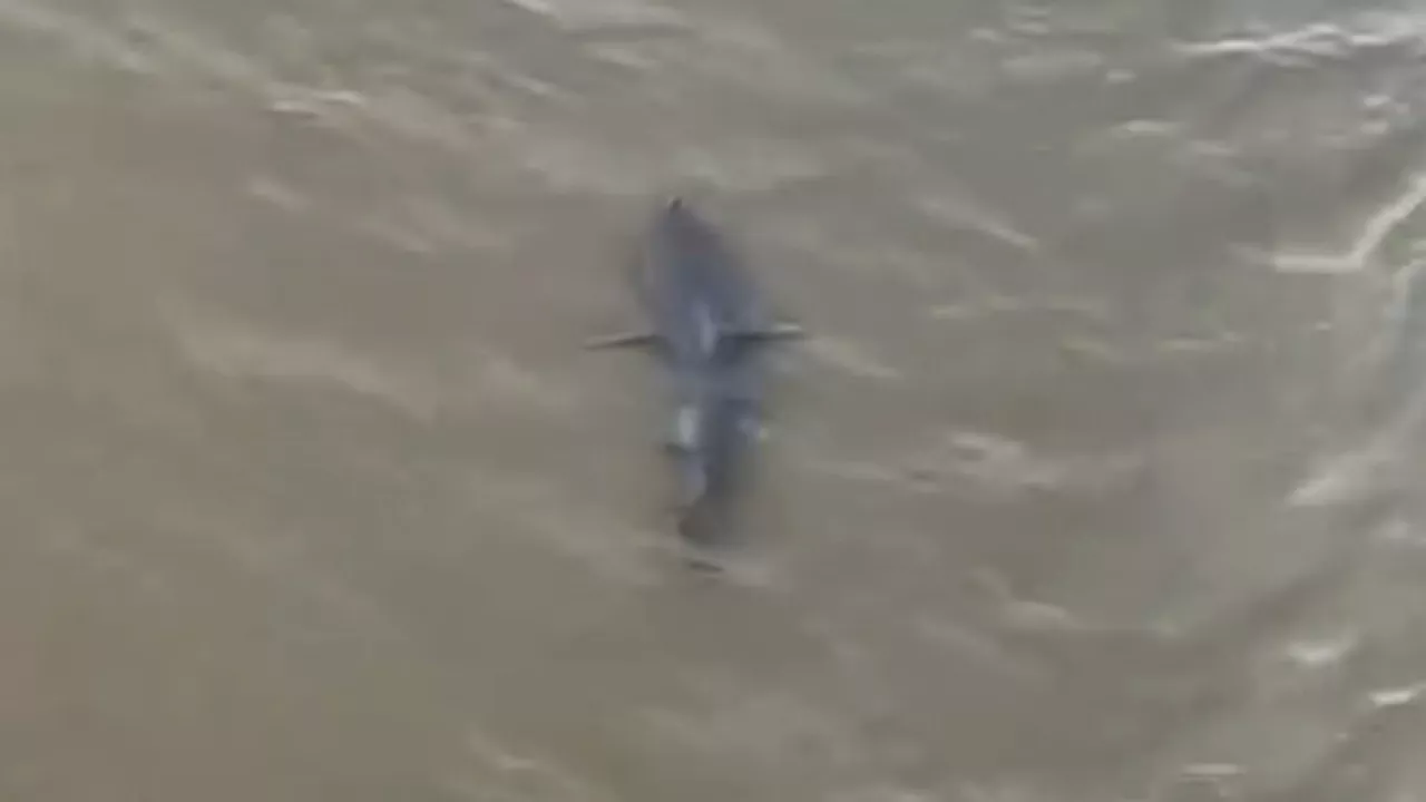 Shocking moment shark appears just yards from unwitting Bournemouth beachgoers