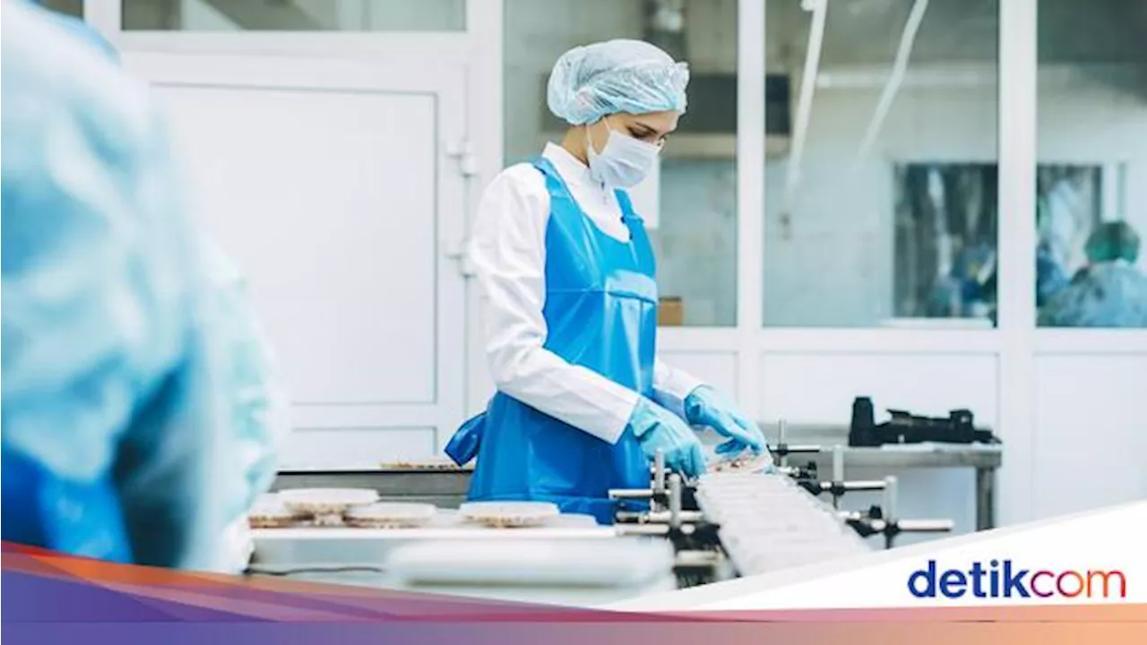 Jalin Kerjasama, SDM Industri RI Bisa Belajar di Jepang