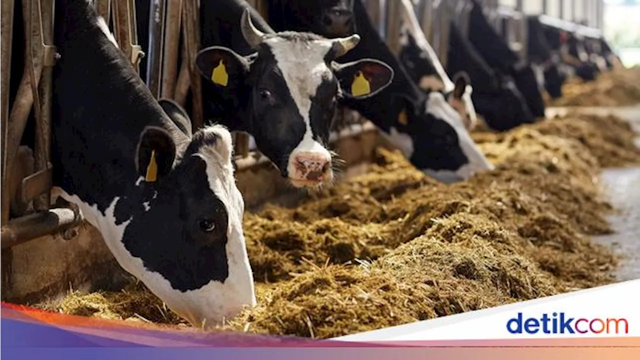 Perdana, Negara Ini Bakal Kenakan Tarif Pajak Karbon pada Sektor Pertanian