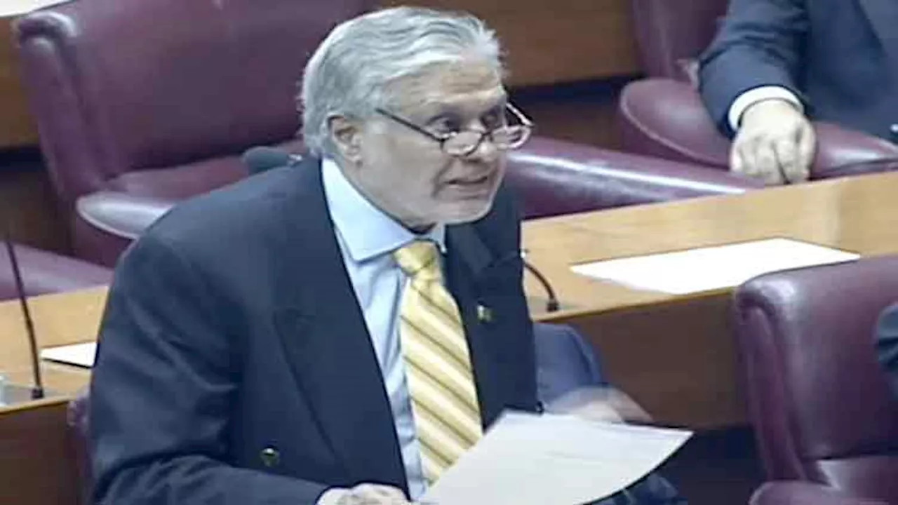 No country allowed to interfere in Pakistan domestic affairs: Dar