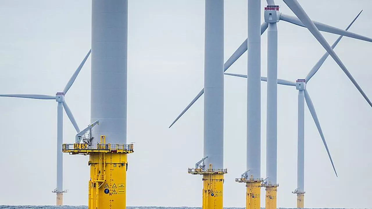 Waarom oliebedrijven hun investeringen in groene energie terugschroeven