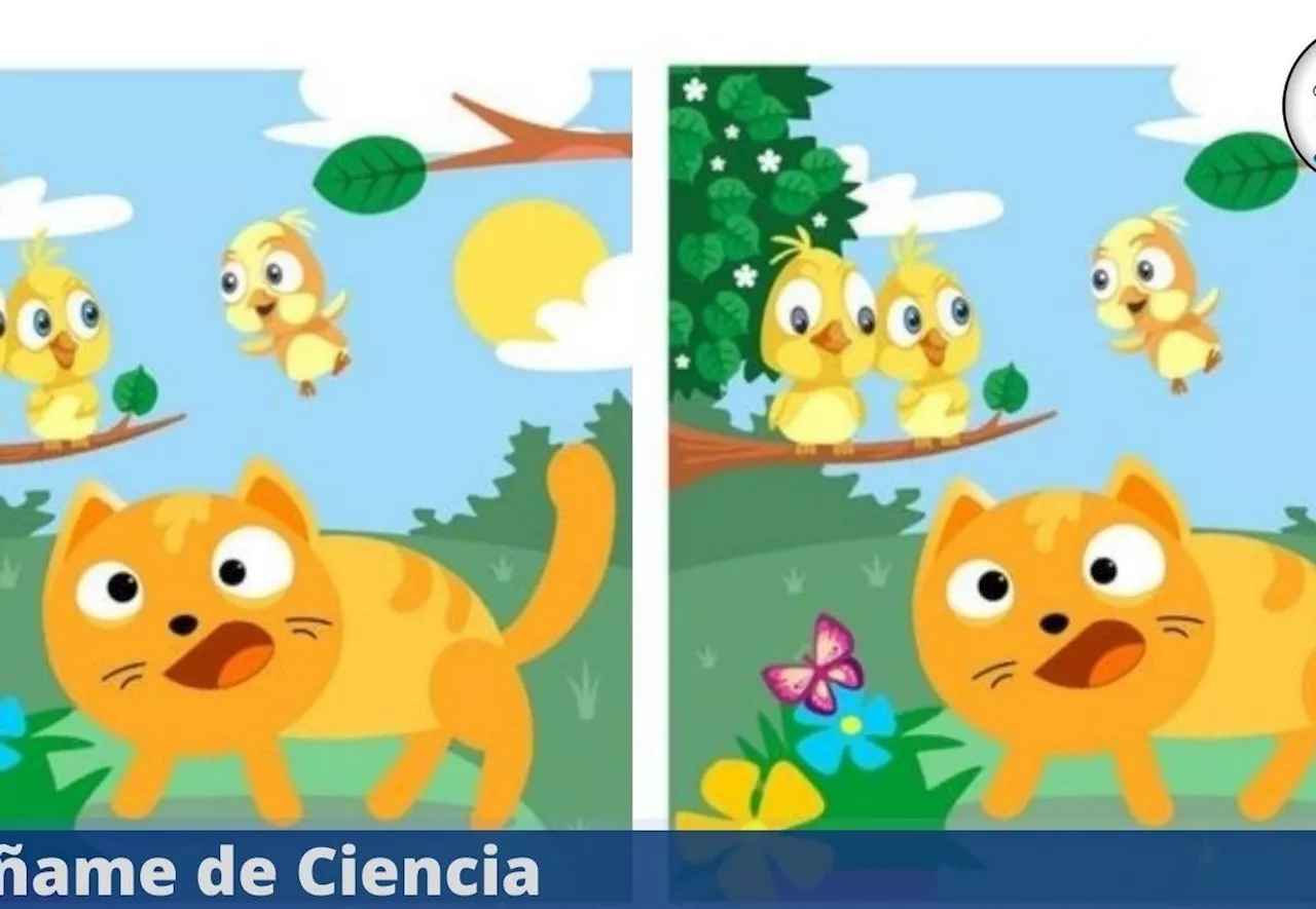 Acertijo visual nivel Pro: logra encontrar las 5 diferencias en tiempo récord