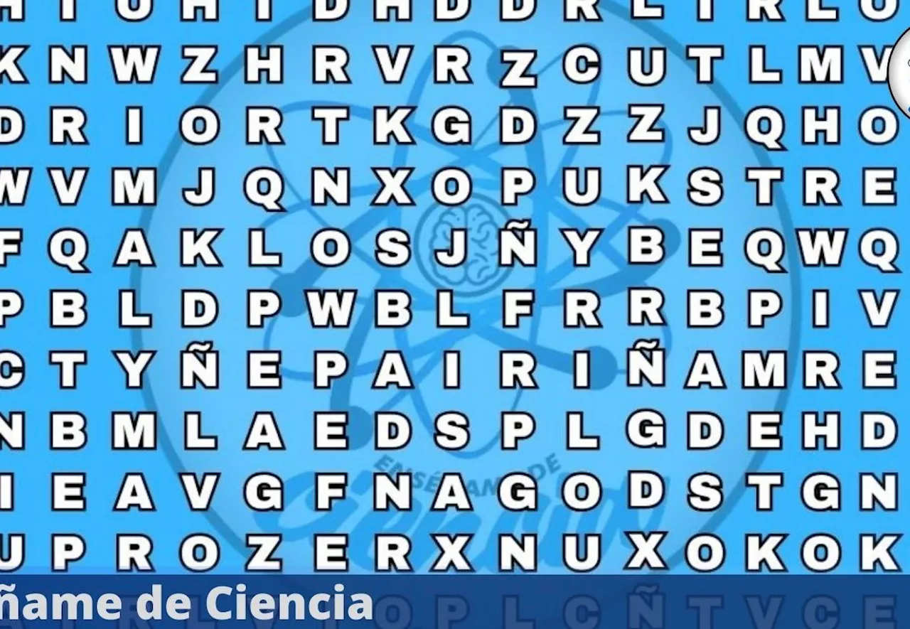 Acertijo visual para PRINCIPIANTES: encuentra la palabra «PRESA» en 6 segundos