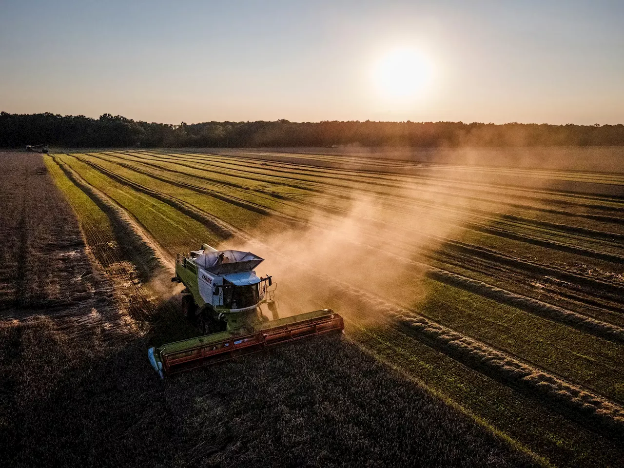 Bruxelas cede aos protestos dos agricultores: ovos e açúcar da Ucrânia voltam a pagar taxas aduaneiras