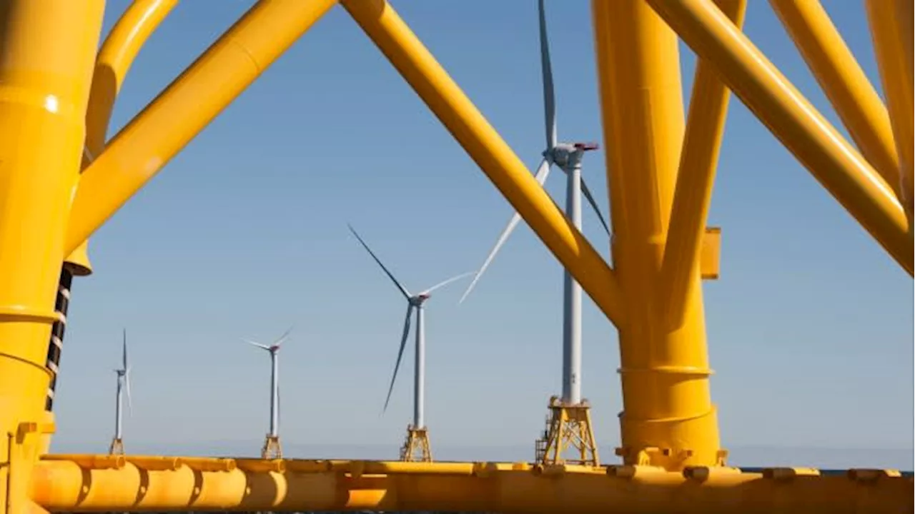 Trump would be ‘devastating’ for offshore wind, warns Massachusetts governor