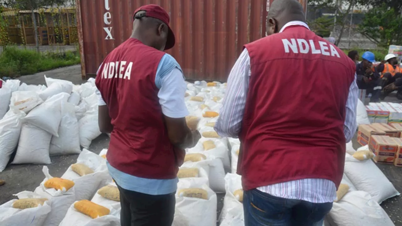 NDLEA seeks partnership with Customs, others to curb drug trafficking, abuse