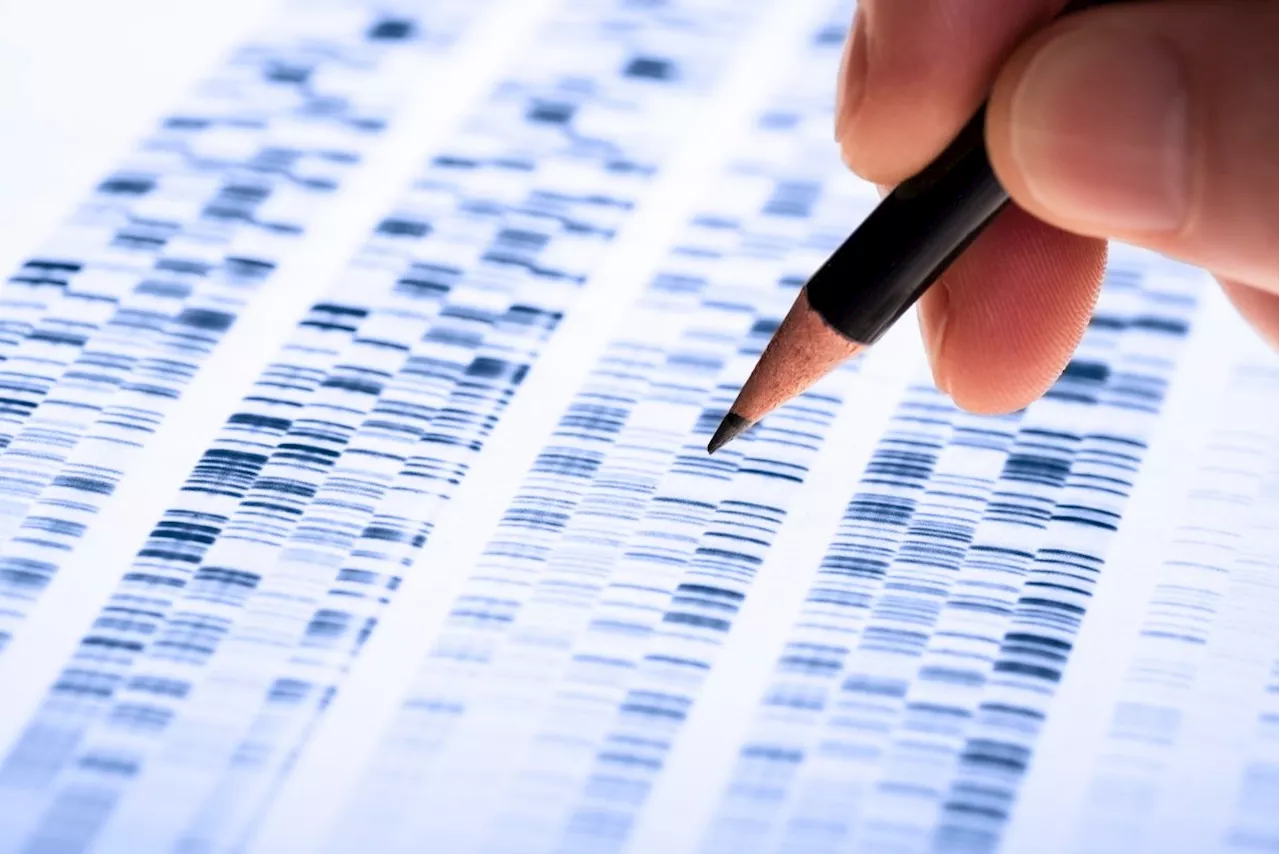 Konkurrenz für die Genschere: 'Bridge RNA' soll Genom genauer editieren