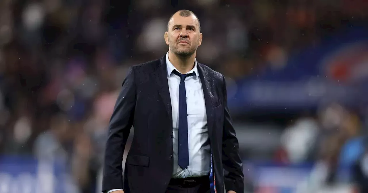 Cheika aiming to win the 'biggest trophies' after taking the helm at Leicester