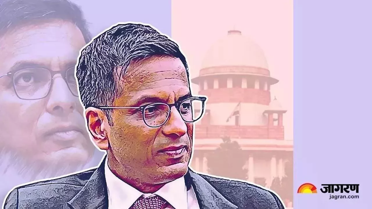 CJI DY Chandrachud: '24 साल में किसी भी सरकार ने नहीं डाला दबाव...', सीजेआई चंद्रचूड़ बोले- भारत में सबसे कम है जजों की संख्या