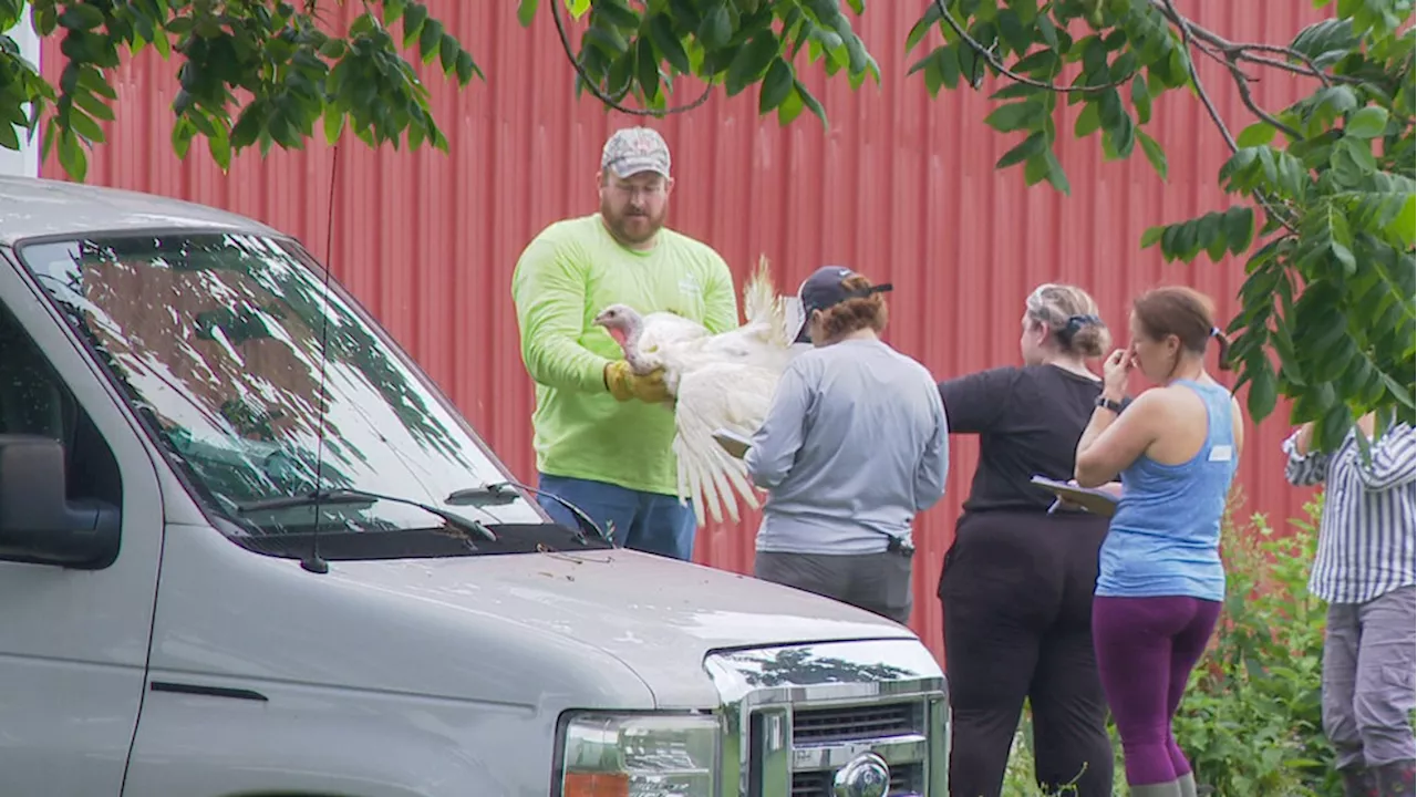 90 animals seized in Ohio now have hope for a better future