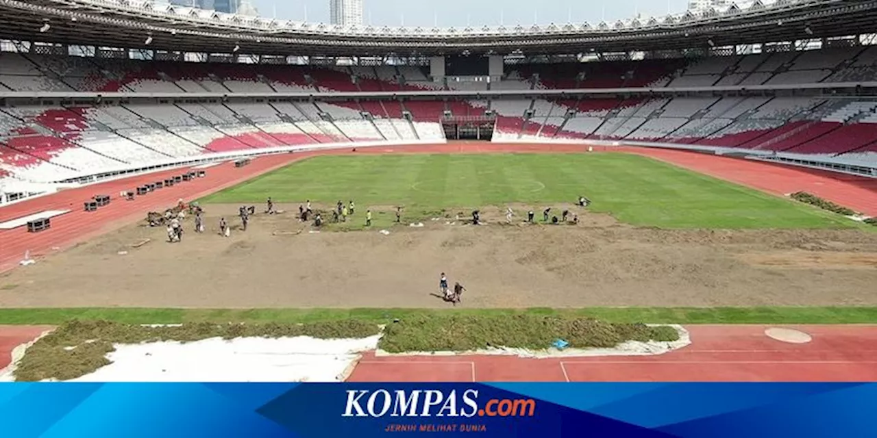 Rumput GBK Jadi Sorotan, Ini Tanggapan Pengelola atas Cuitan Coach Justin