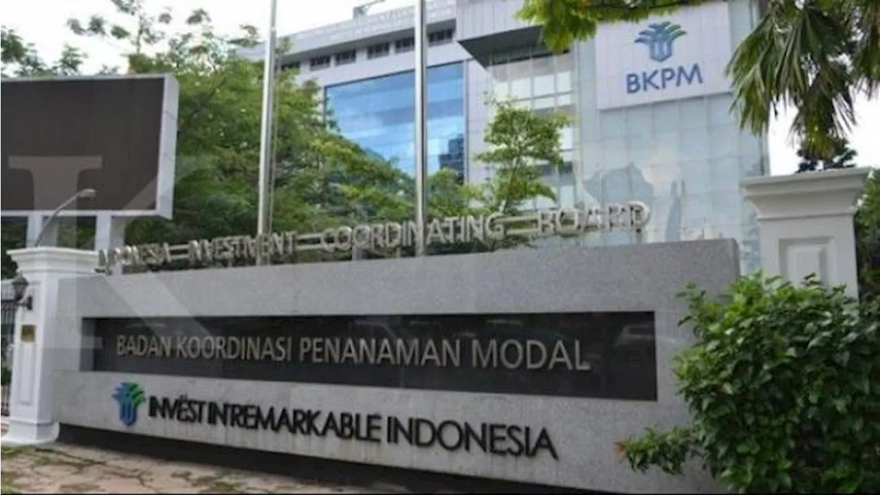 BASF dan Eramet Batal Investasi pada Smelter Nikel di Maluku Utara, Ini Kata Kementerian Investasi