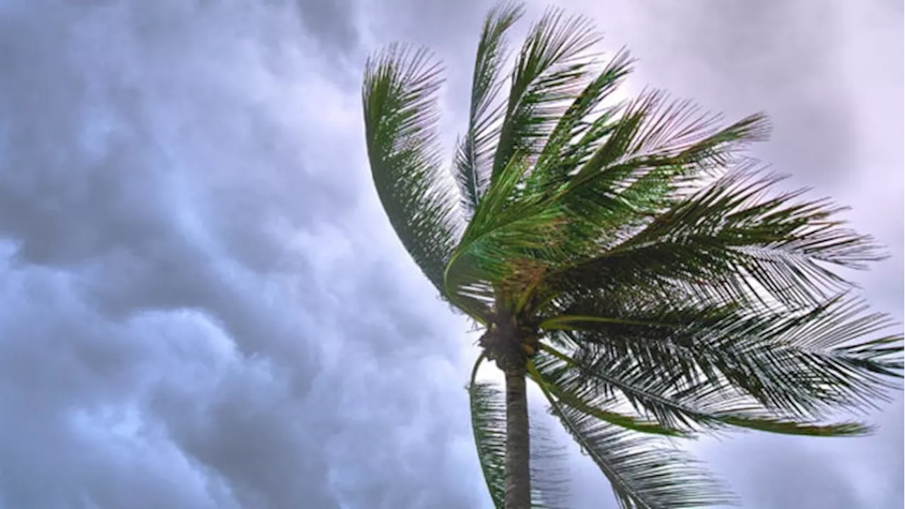 TRACKING THE TROPICS: Wave in the Atlantic headed toward the Caribbean could become first hurricane of the year