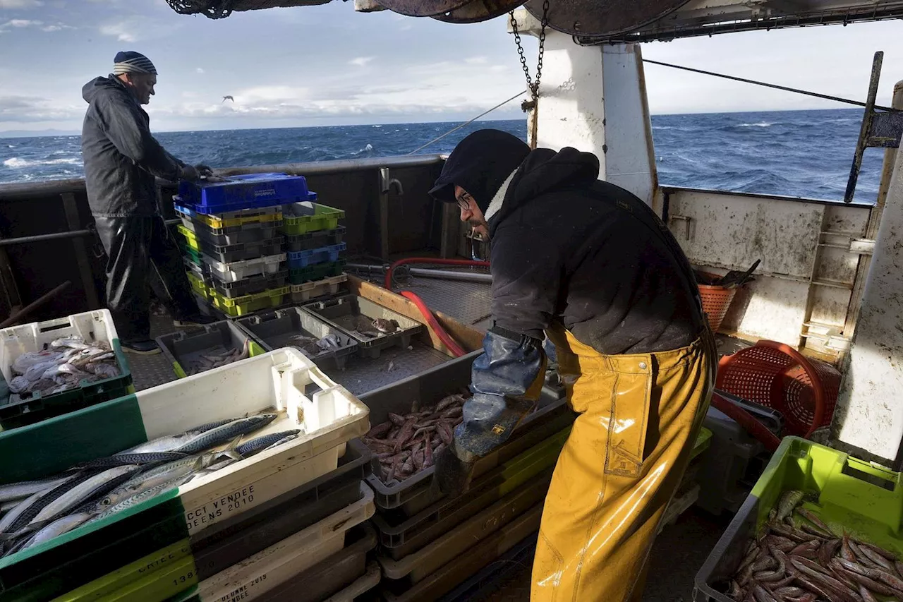 Les pêcheurs en quête de soutien politique pour sauver la filière