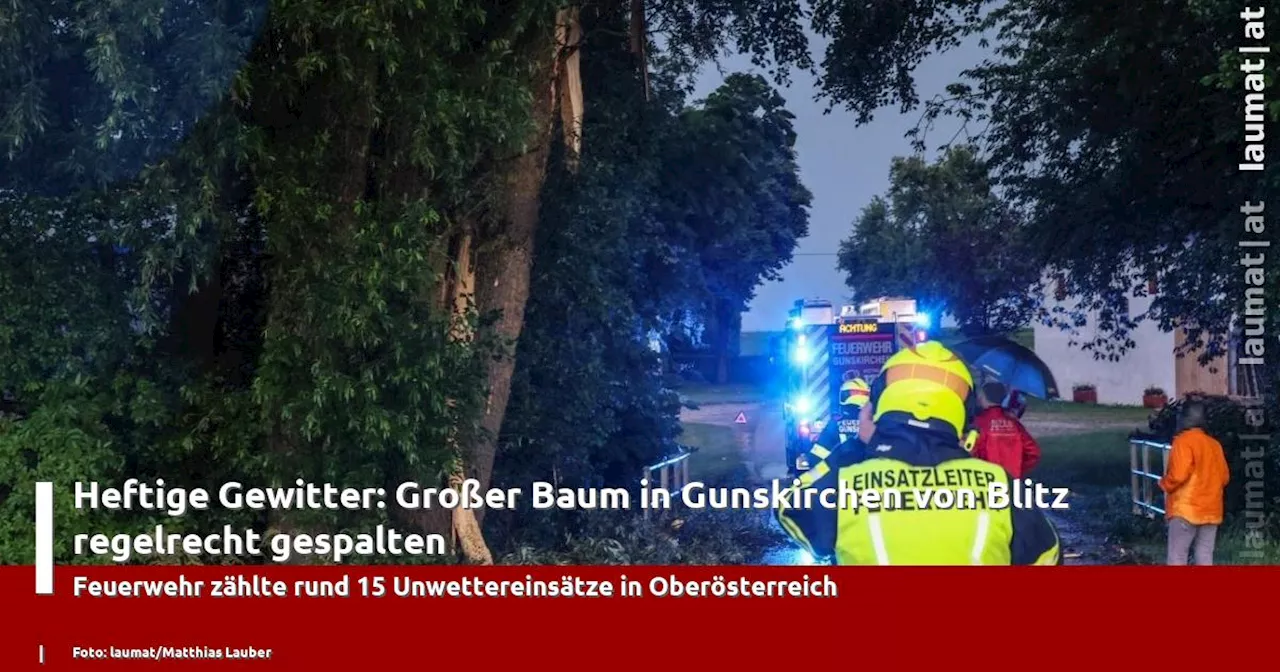 Heftige Gewitter: Großer Baum in Gunskirchen von Blitz regelrecht gespalten