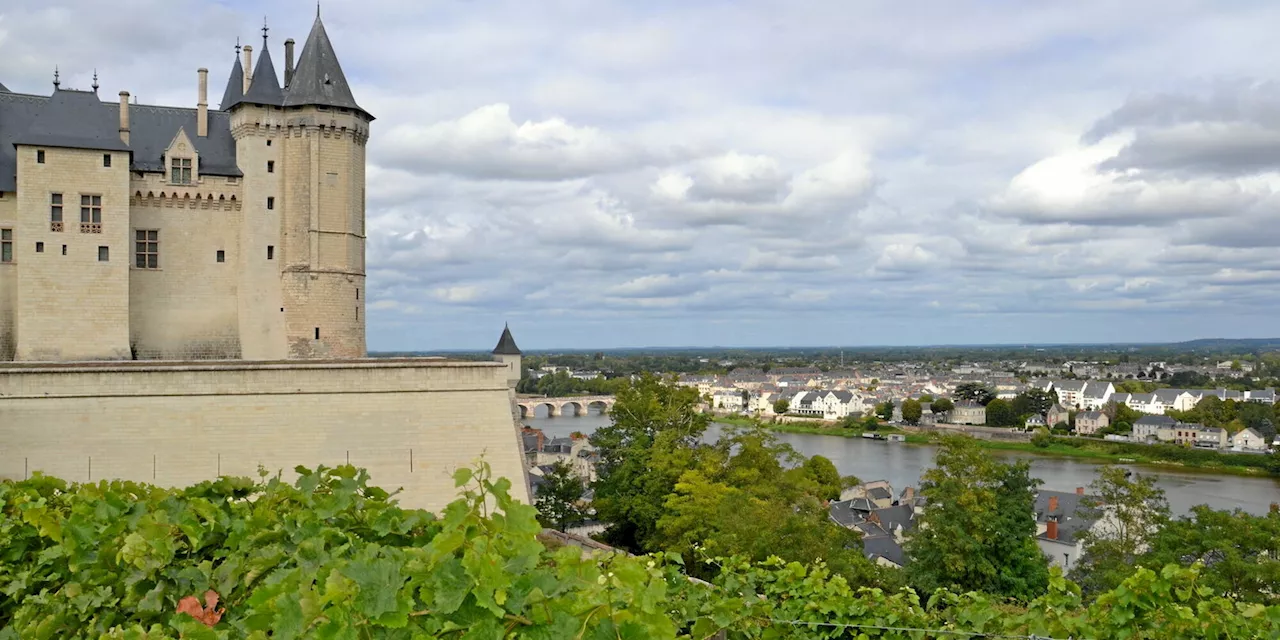 Val de Loire, saumur et samur-champigny : notre sélection de vins d'été 2024