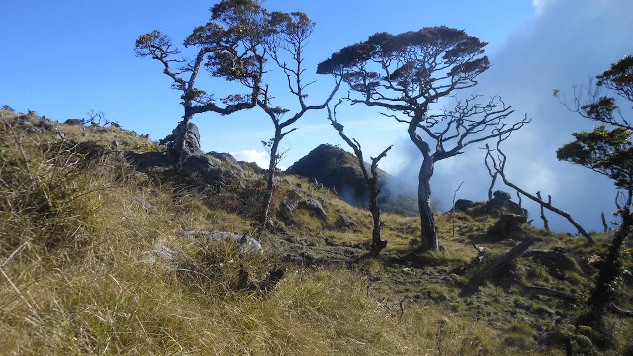 6 Fakta Menarik Gunung Bawakaraeng di Sulawesi yang Diartikan Gunung Mulut Tuhan