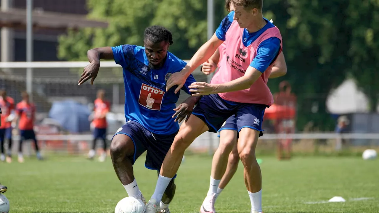 Der FC Luzern testet für die neue Saison – die Testspiele im Stream auf luzernerzeitung.ch