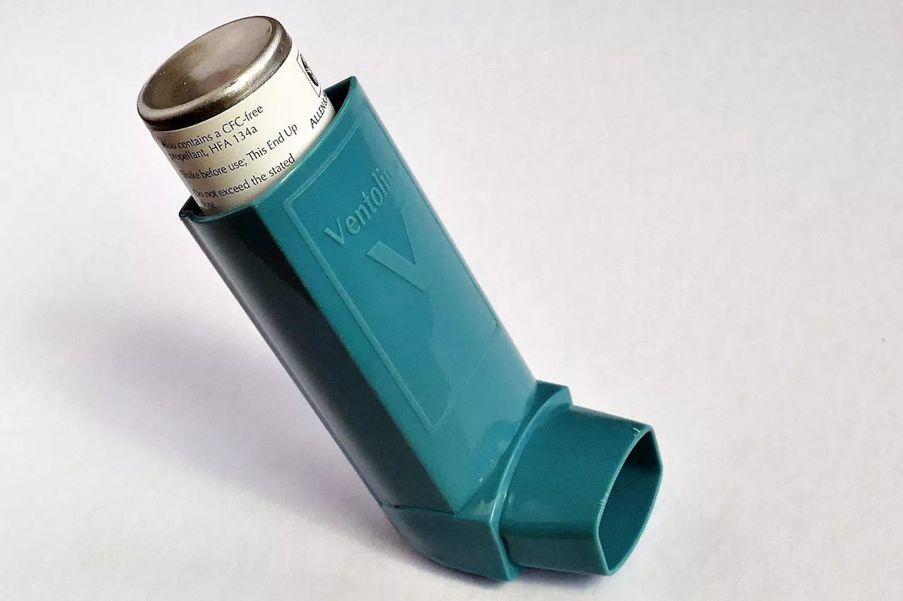 Potential of inflammatory biomarkers to guide treatment in mild asthma