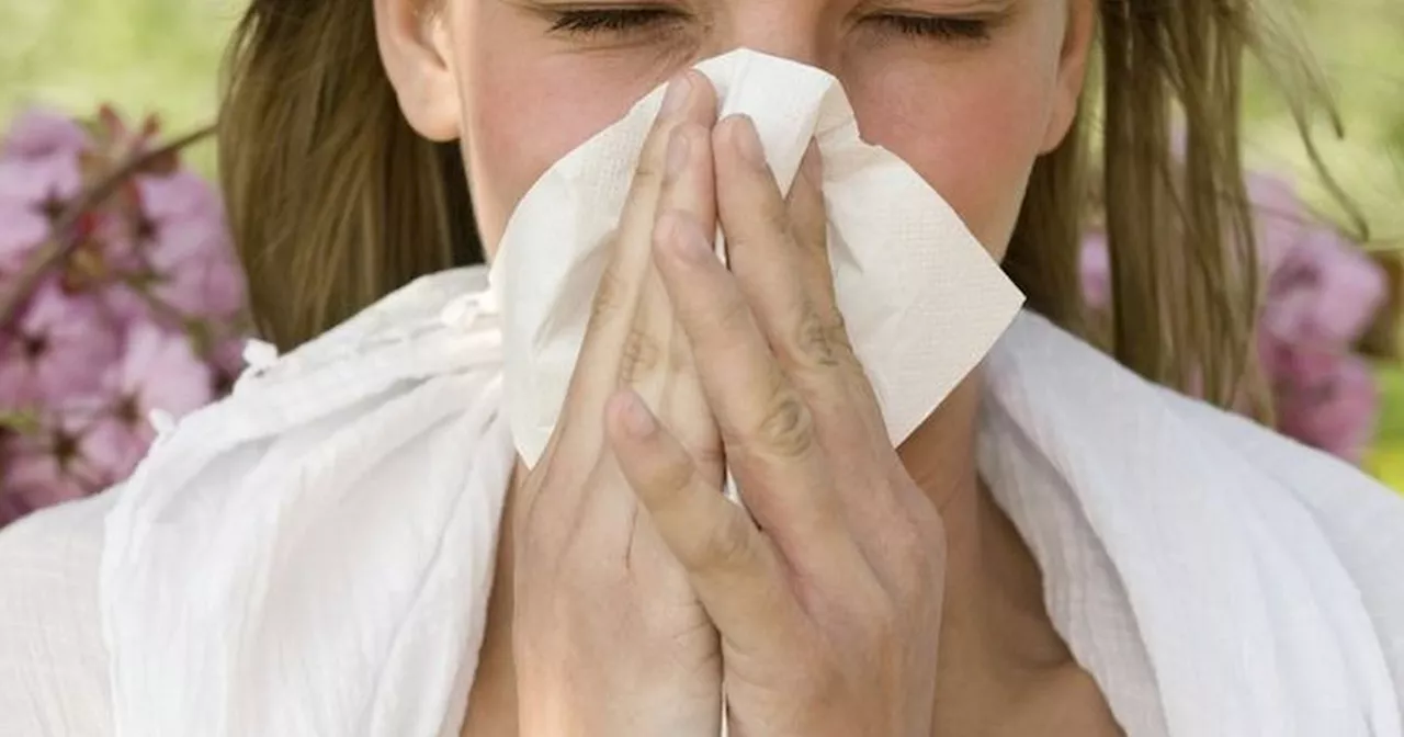 Shoppers swear by non-drowsy 24p hay fever tablets to make symptoms 'disappear'