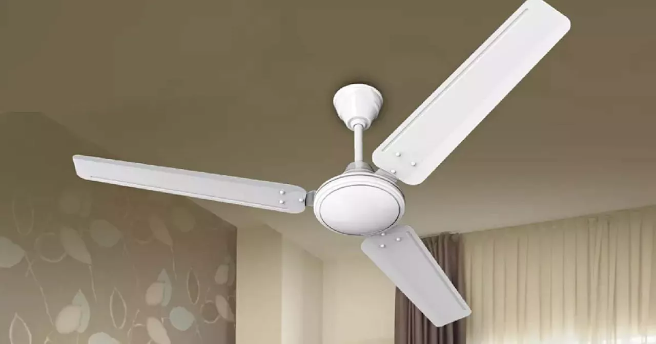 कमरे को डेकोरेटिव लुक देने में मदद करेंगे ये White Ceiling Fan, इनकी हाई स्पीड हवा भी आपको दिलाएगी हवा का झोंका