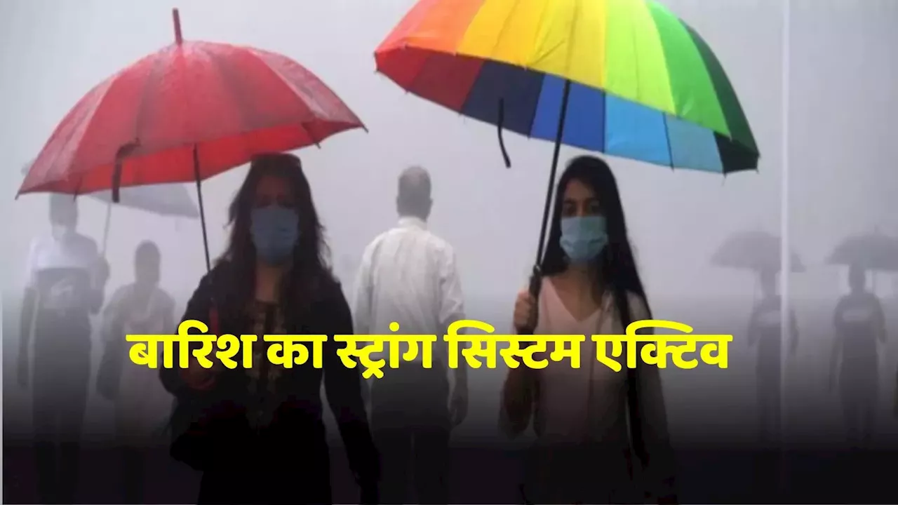 MP का मौसम: एमपी के 50 जिलों में पहुंचा मानसून, कई जगहों पर बारिश का स्ट्रांग सिस्टम एक्टिव, IMD का अलर्ट