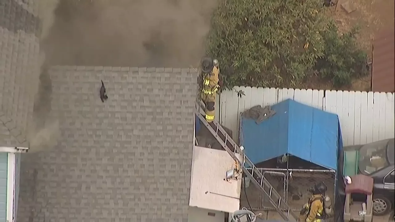 Firefighter tries to rescue cat on roof of burning San Diego house