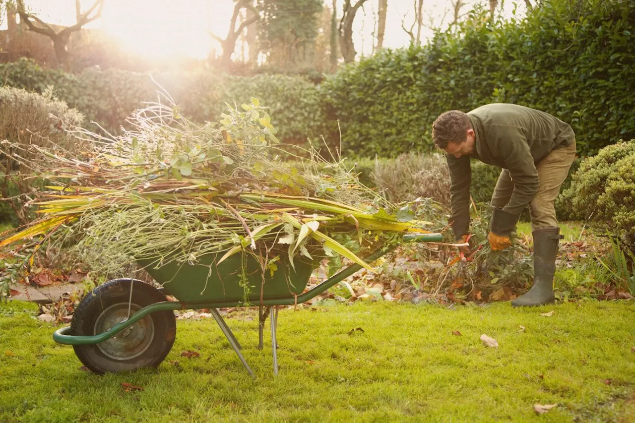 Say goodbye to weeds using this clever hack