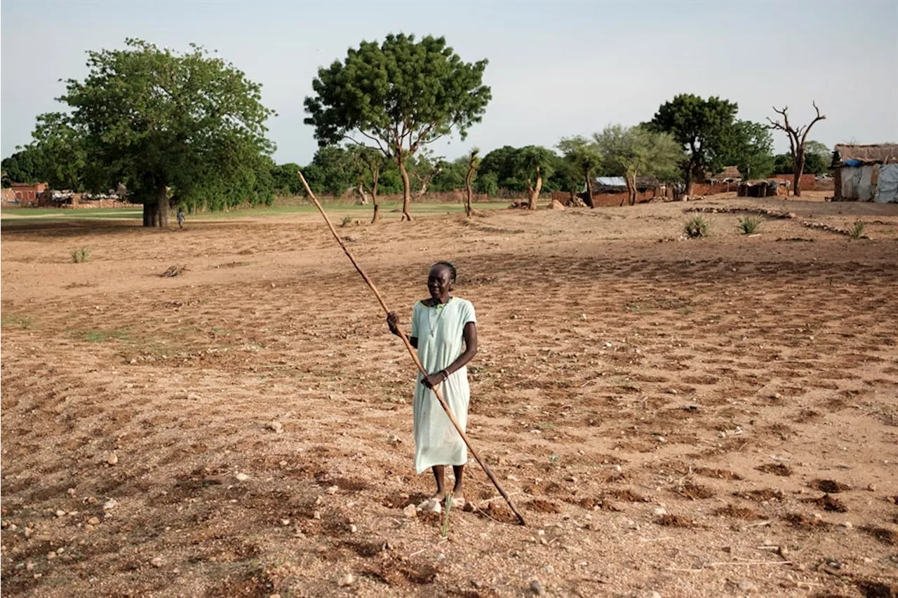 Sudan faces famine risk in 14 areas, global hunger monitor says