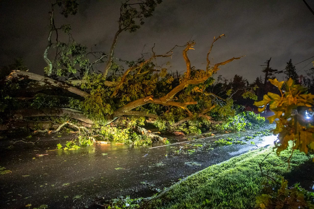 Woman seriously hurt when tree crashes through N.J. home during storms