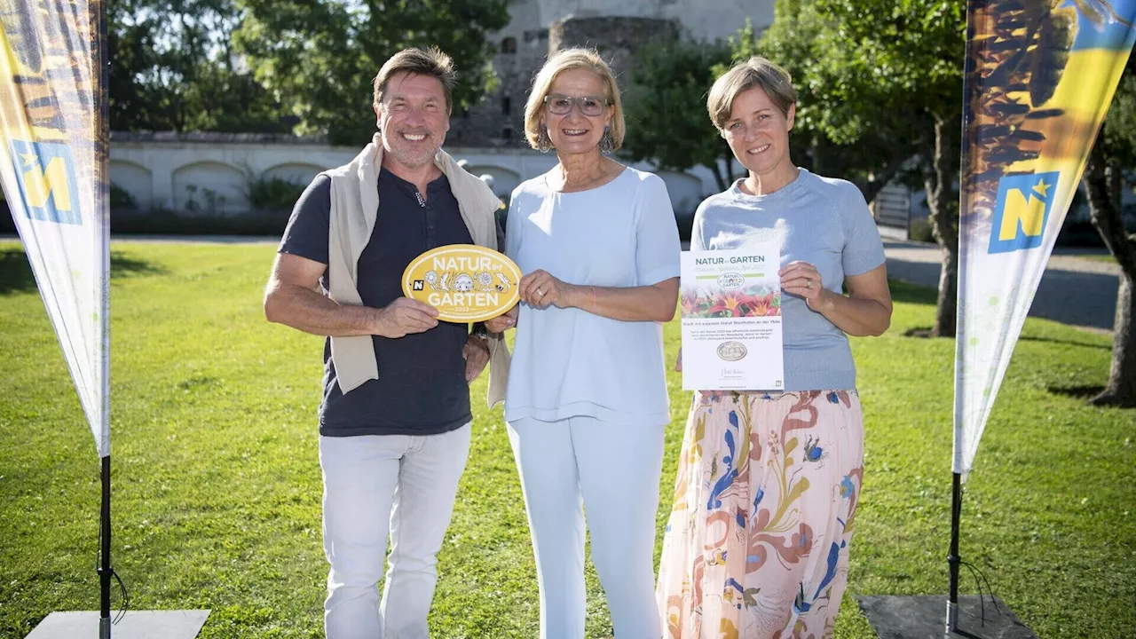 Goldener Igel für vier Gemeinden aus dem Ybbstal