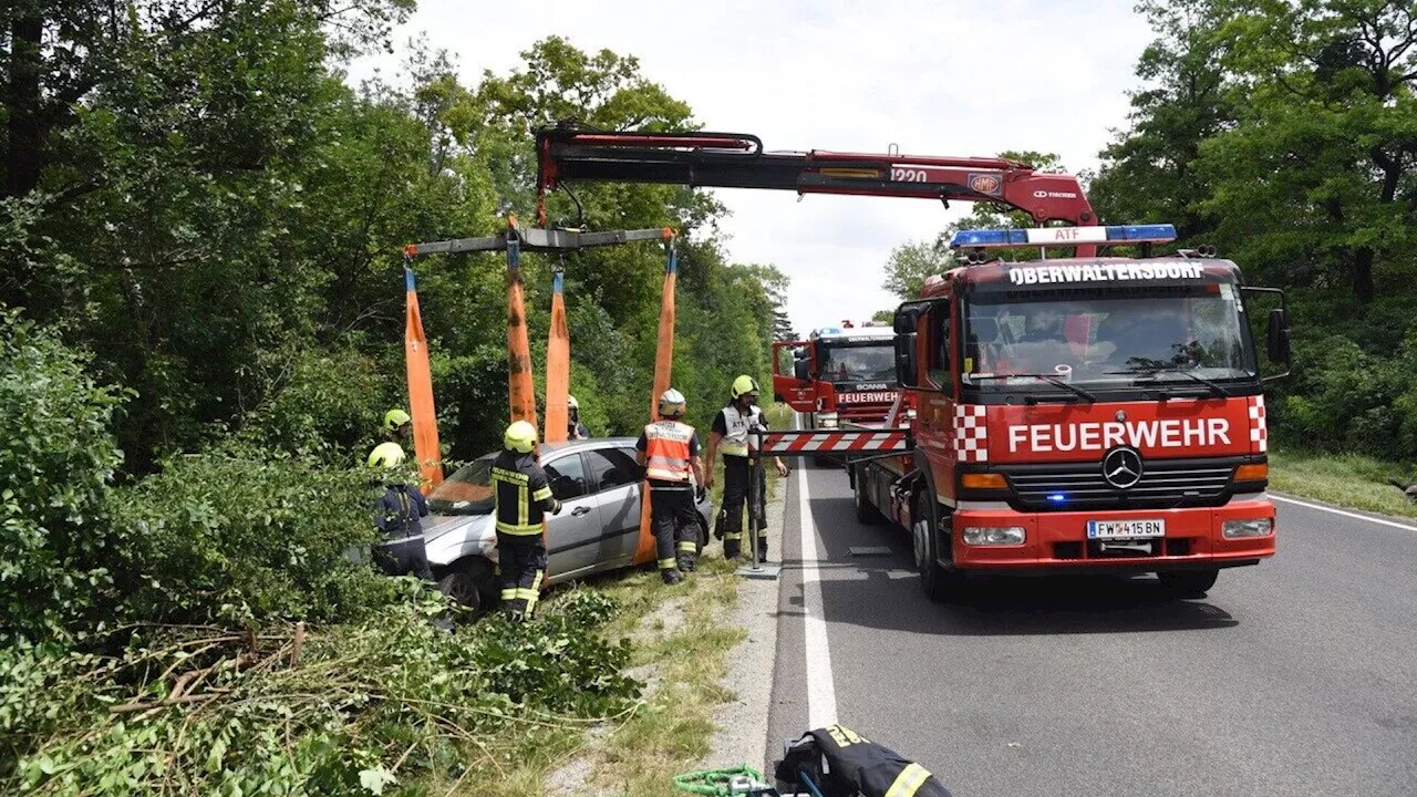 Oberwaltersdorf: Auto erfasste Wildschwein