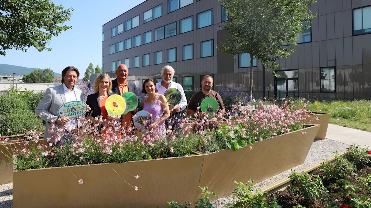 Spitalsgärten Baden: Harmonischer Gartenraum, der alle Sinne anspricht