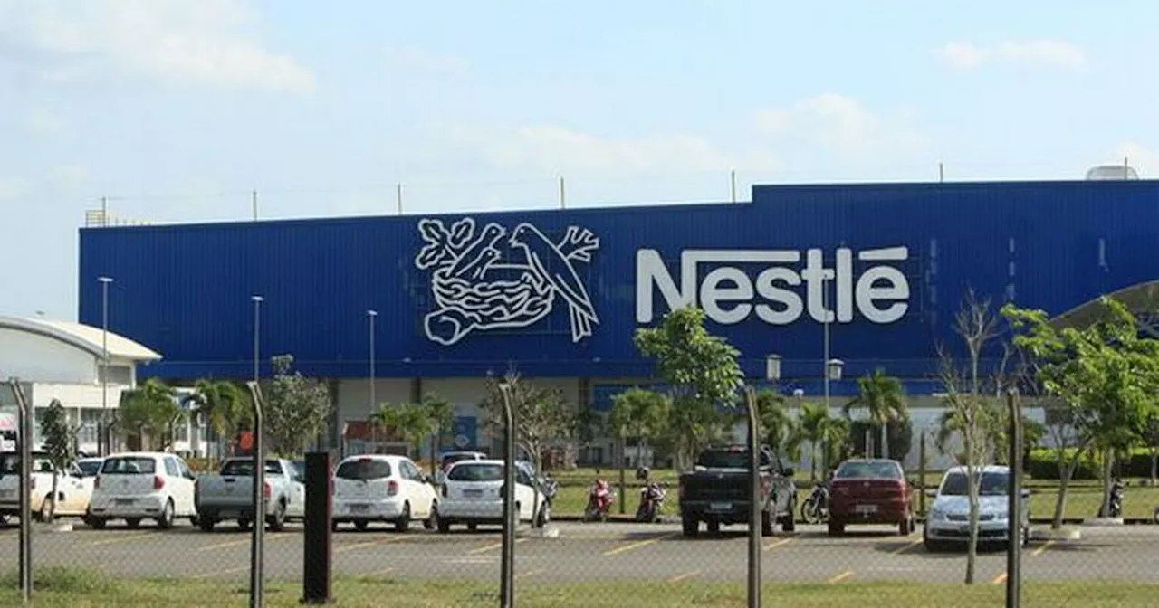 Nestle to reinstate recipe for popular chocolate treat after 'disgusting' move