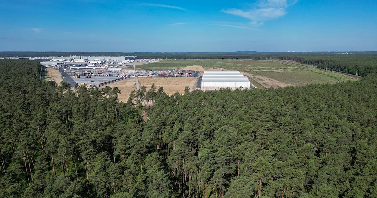 Bombenfund im Wald nahe der Tesla-Fabrik