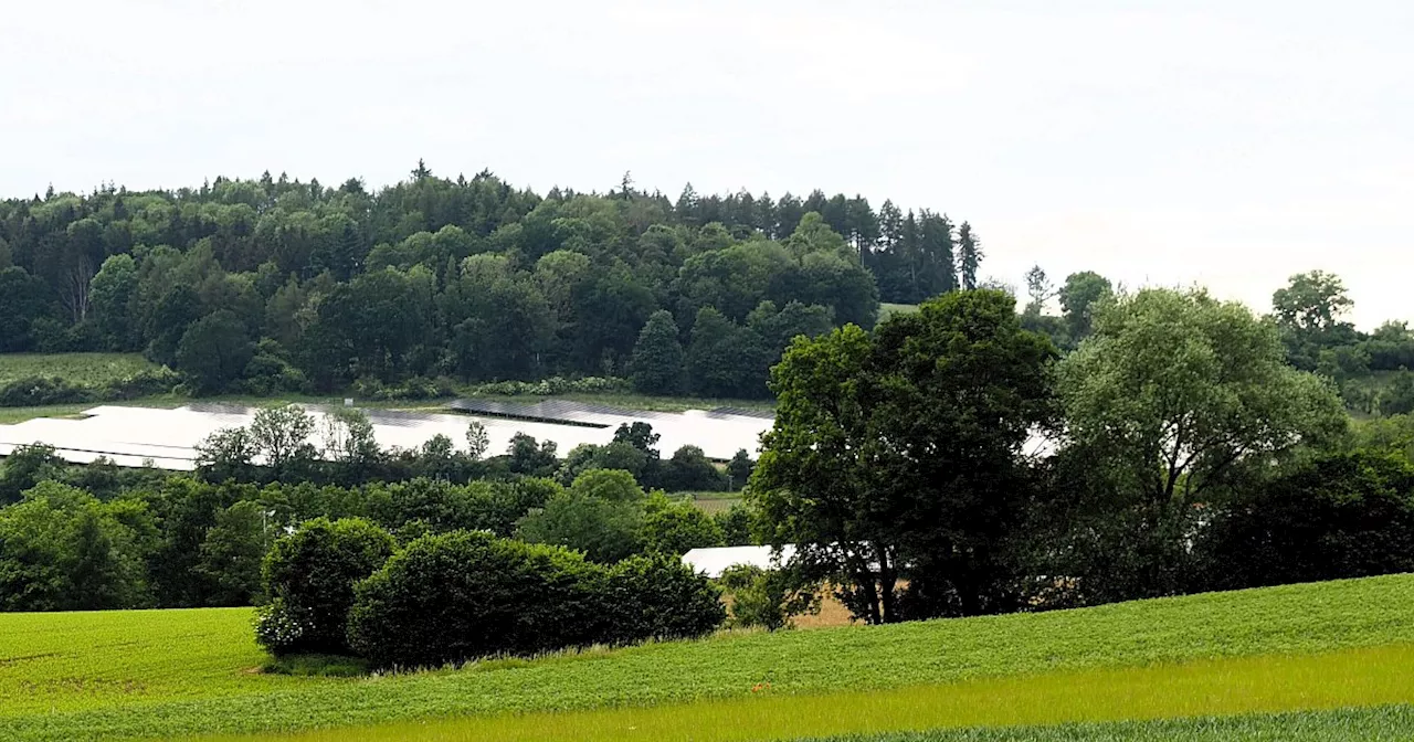 Steinheim will neue PV-Freiflächenanlagen nach Möglichkeit verhindern