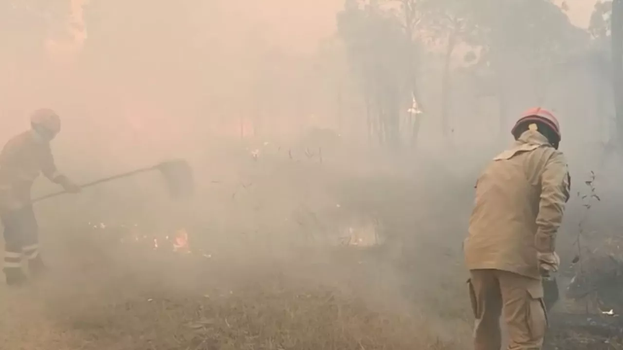 PF aponta que parte dos incêndios no Pantanal foram causados pela ação humana