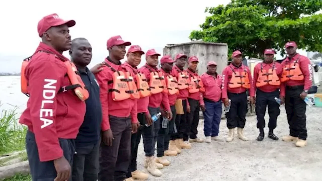 NDLEA arrests 360 suspects, prosecutes 197 for drug abuse in Anambra