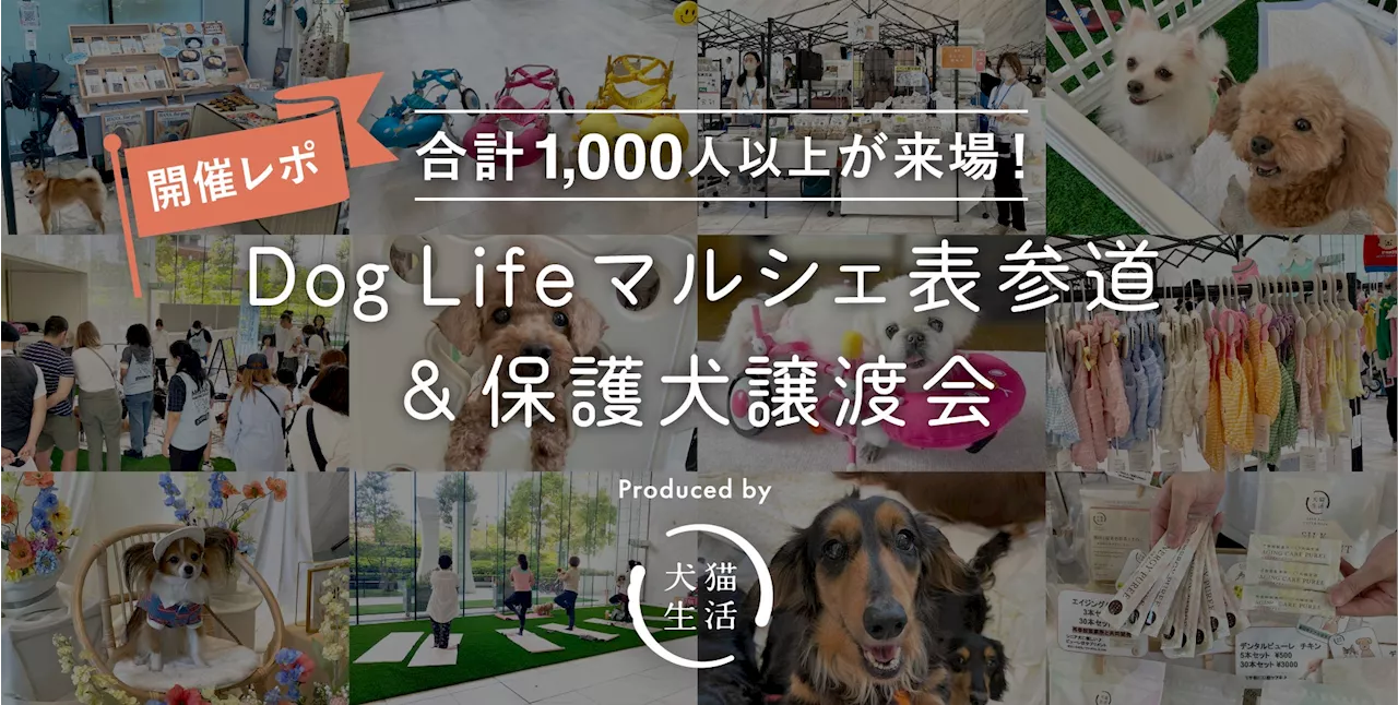 【イベントレポート】犬猫生活、初の1日限定イベントに1,000人以上が来場！保護犬8頭の正式譲渡も決定！