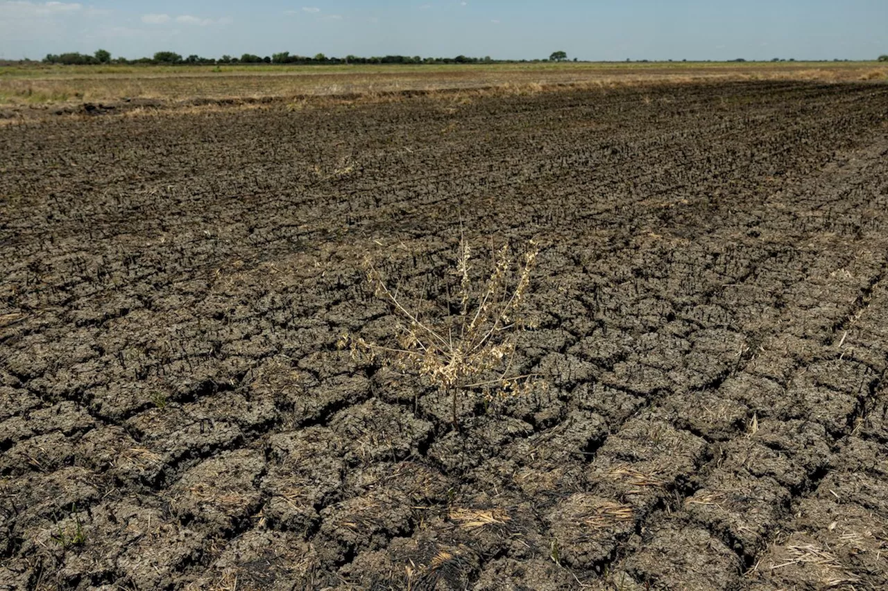 US Treasury, USAID call in development banks for urgent talks on extreme heat