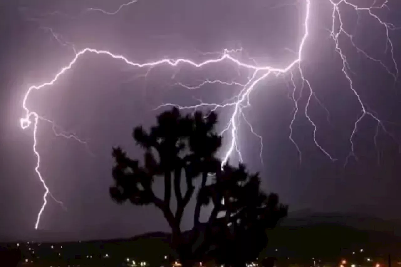 Monsoon Update : मौसम विभाग का अलर्ट, 19 जिले में होगी झमाझम बारिश, गिरेंगे ओले, 40 KMPH गति से चलेगा अंधड़