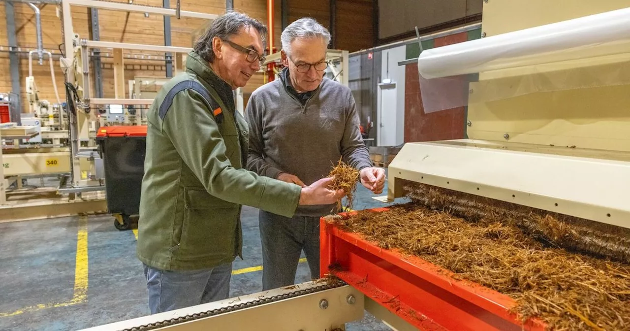 Primeur in Drenthe: Isolatieplaten, gemaakt van houtsnippers