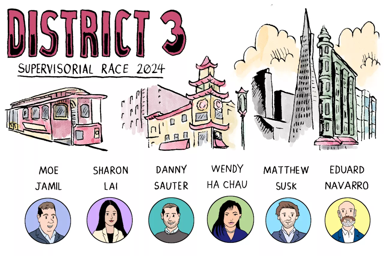 Meet the candidates: Why should voters care about the District 3 race?