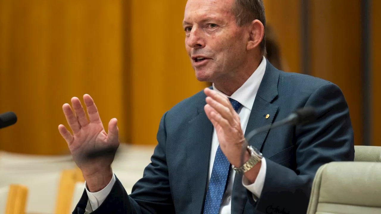 ‘Slow motion train wreck’: Abbott brands Labor’s ambitious renewables plan ‘futile’