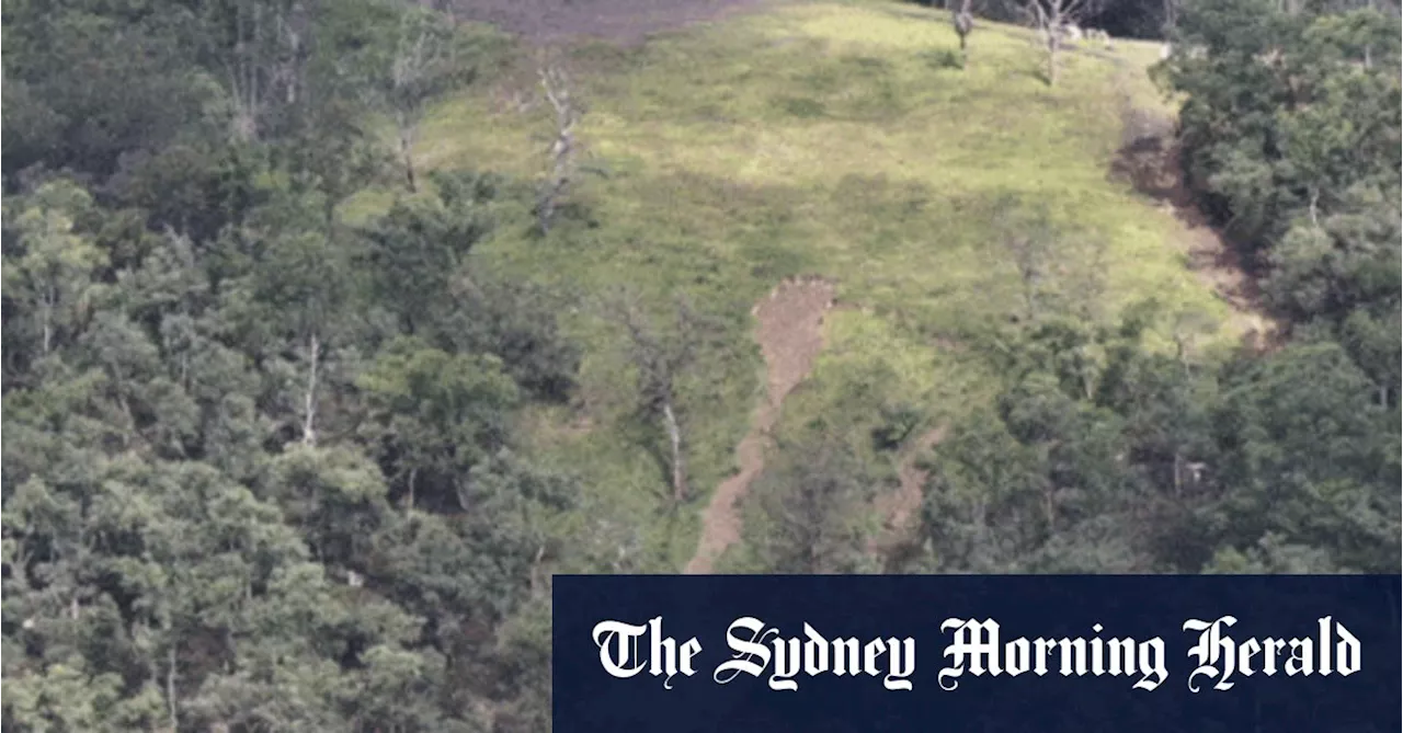 ‘Major pollution incident’: Toxic sludge poisons pristine Sydney river, expert says