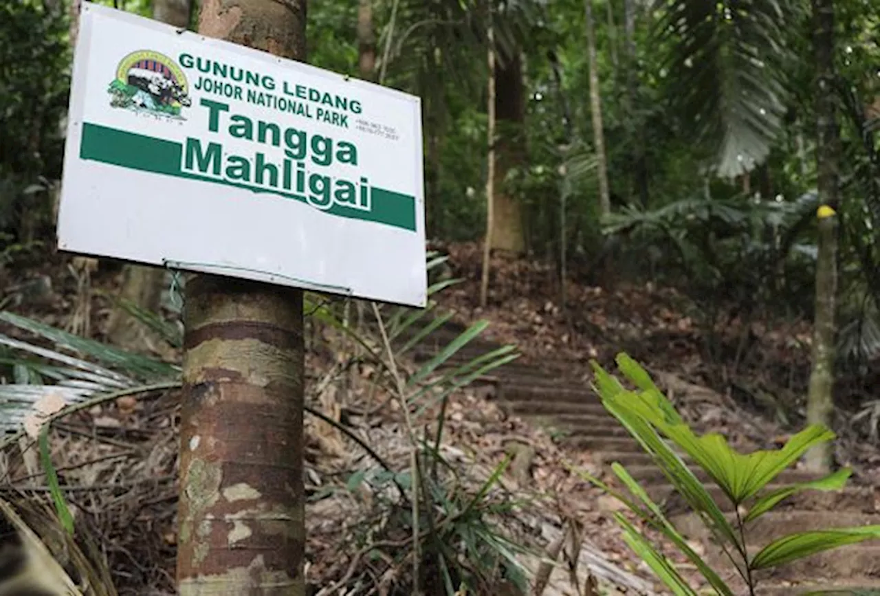 Gunung Ledang National Park closed temporarily due to leptospirosis cases