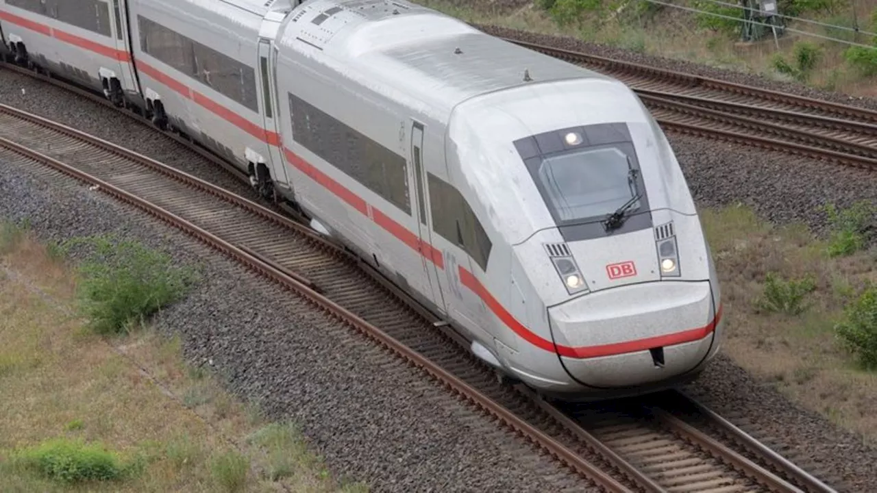 Bahnverkehr: Bäume stürzen auf ICE-Strecke: Züge evakuiert