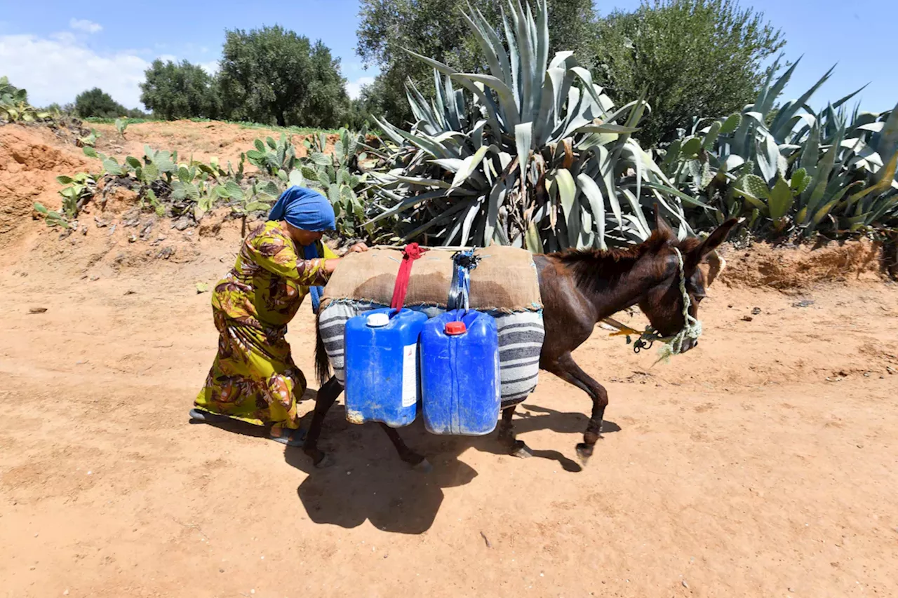 Klimawandel: Frauen brauchen bis zu 30 Prozent mehr Zeit zum Wasserholen