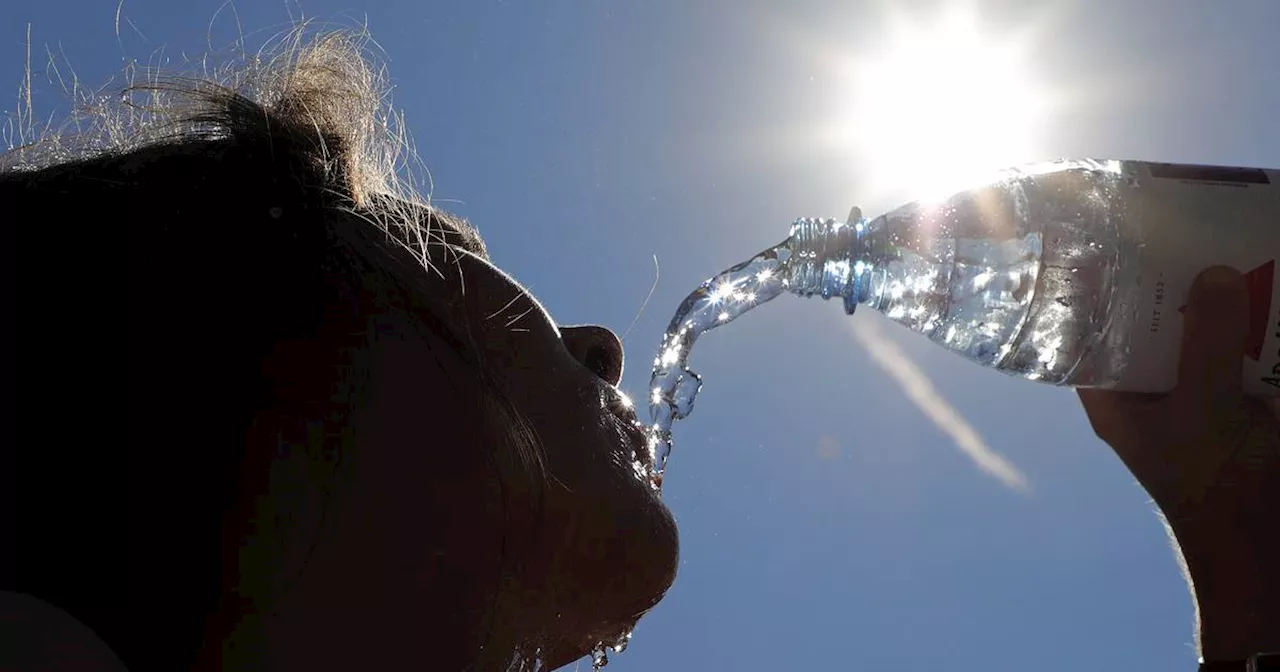 Mineralwasser im Test: „sehr gut“ – 3 Günstige sind Sieger