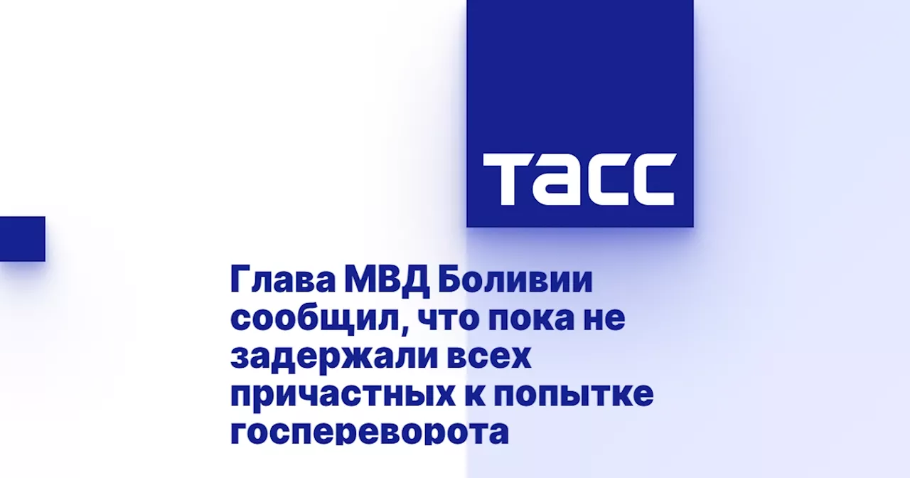 Глава МВД Боливии сообщил, что пока не задержали всех причастных к попытке госпереворота